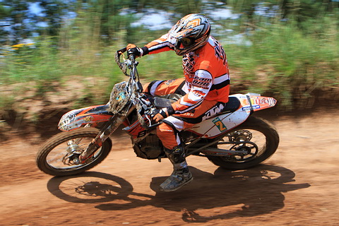 Steve Schippel