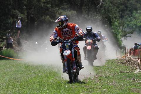 Steve Schippel Start_Steve_Schippel