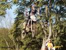 GCC Bauschheim_1619
