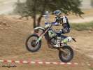 GCC Schefflenz_1498