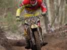 GCC Triptis_1383