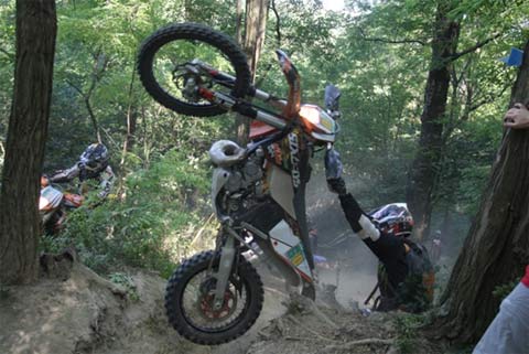 © Erich Brandauer © Erich Brandauer