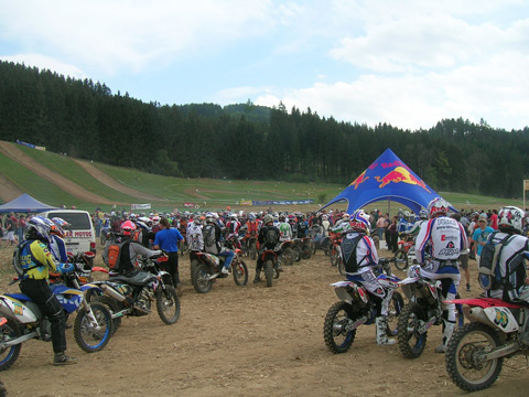 Foto: Schwaiger Foto: Schwaiger